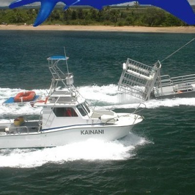 a small boat in a body of water