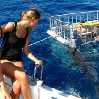 a woman sitting on a dock next to a body of water