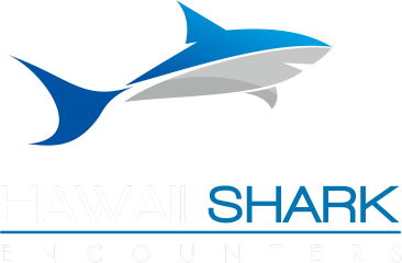 Hawaii Shark Encounters