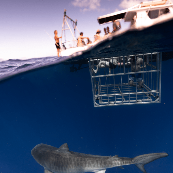 a ship in a body of water