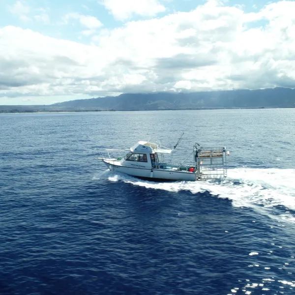 boat on large body of water